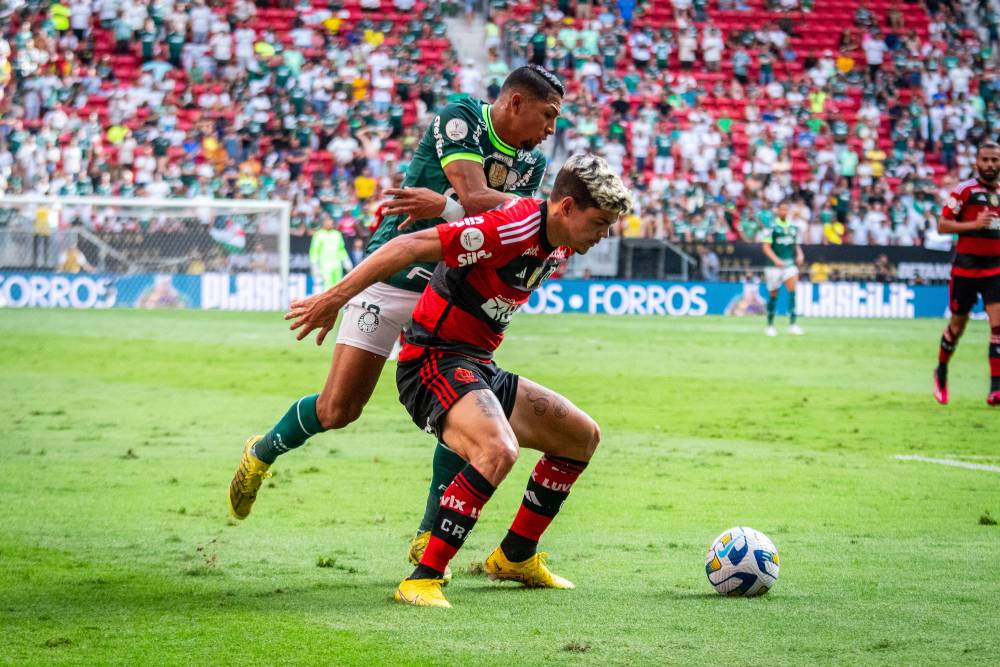 jogadores do flamengo e palmeiras durante jogo do brasileirão série a